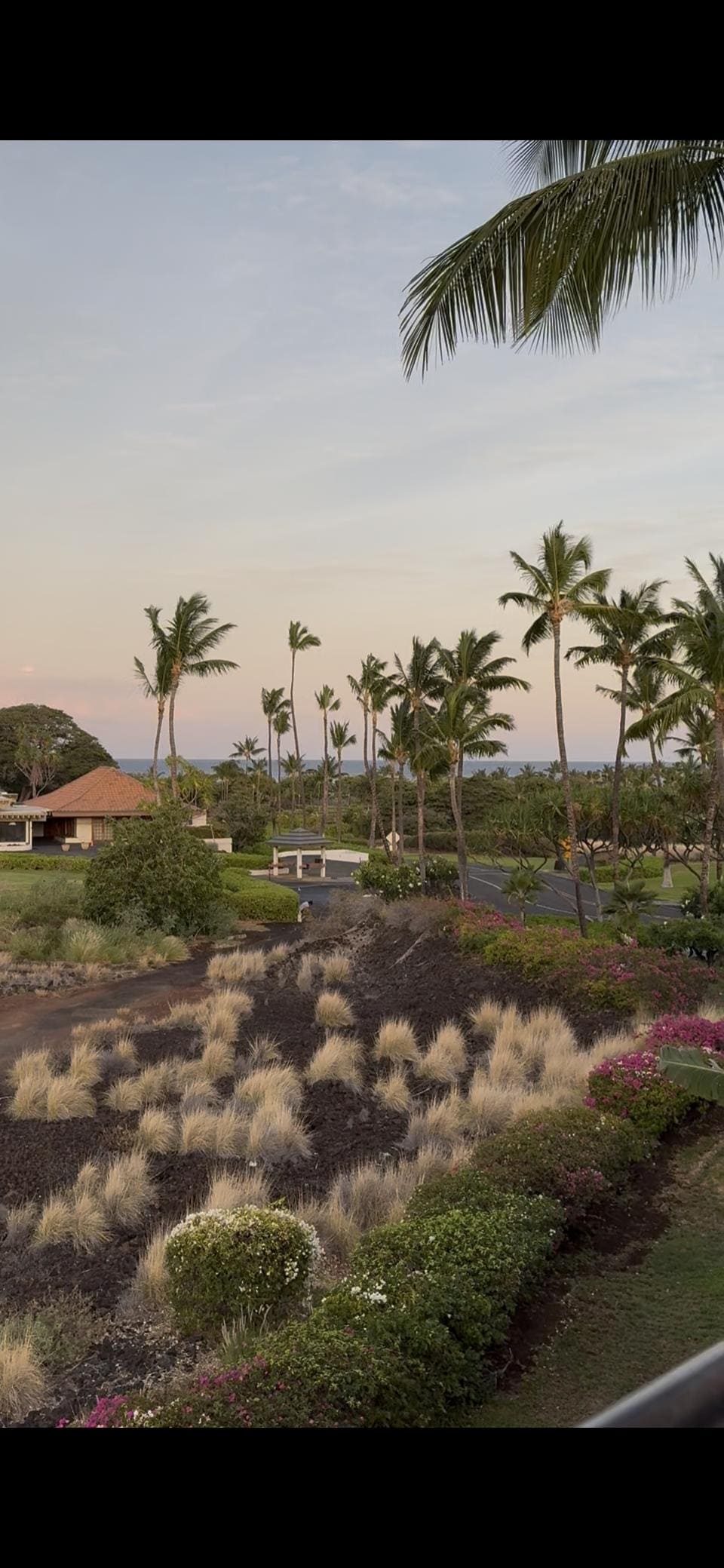 Morning from the balcony!