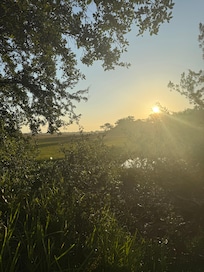 View of Marsh in the morning.