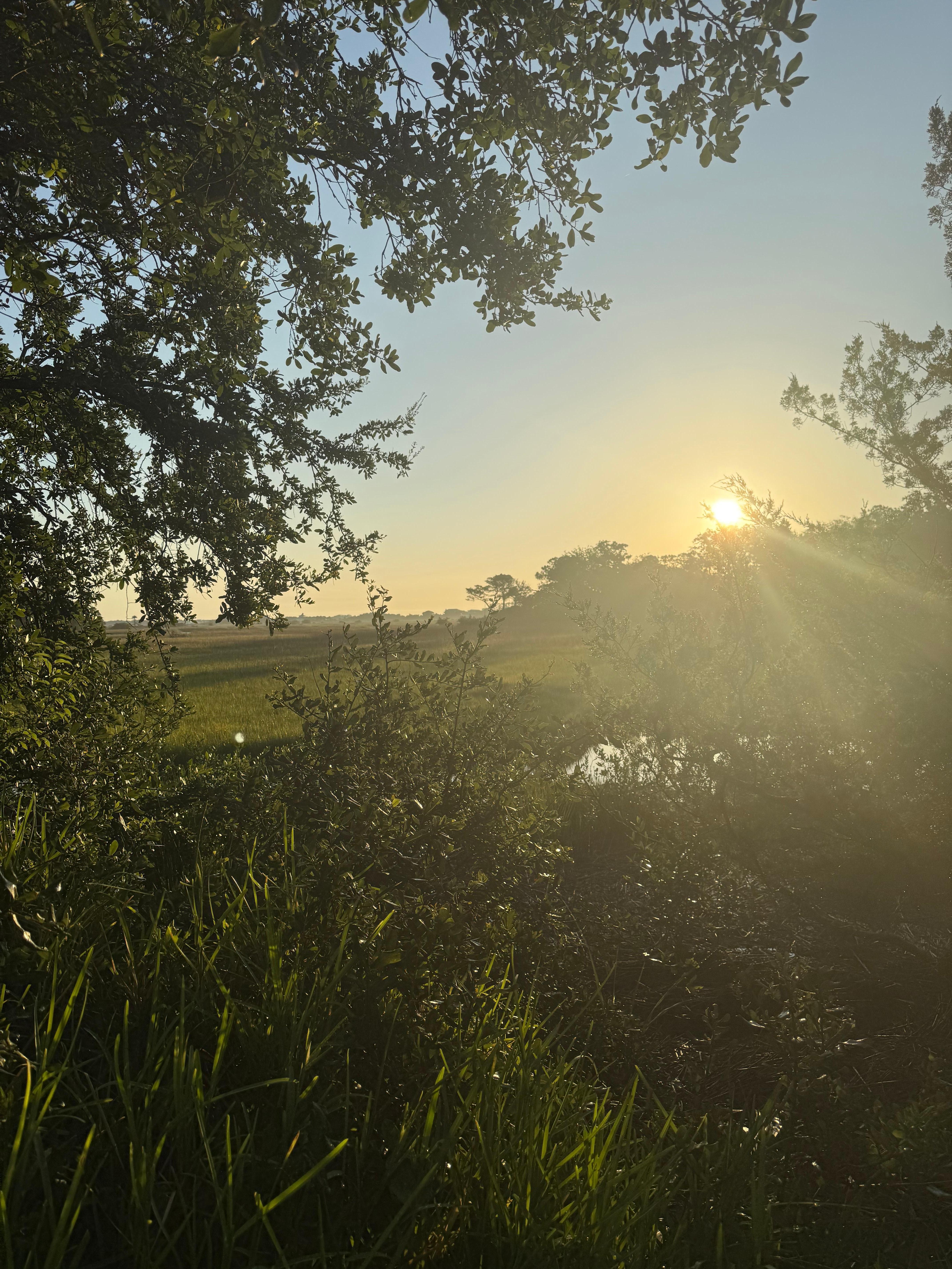 View of Marsh in the morning. 