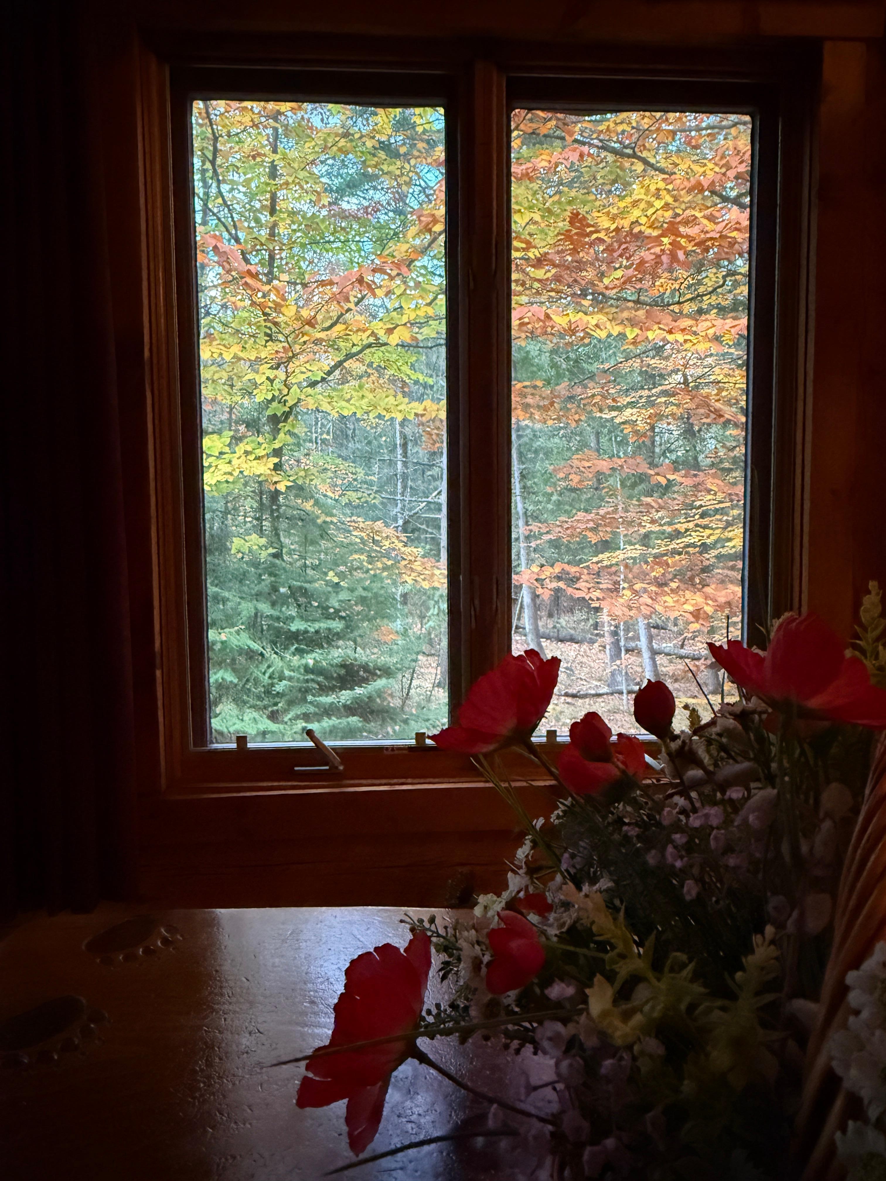 What a beautiful view while enjoying morning coffee. 