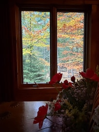 What a beautiful view while enjoying morning coffee.