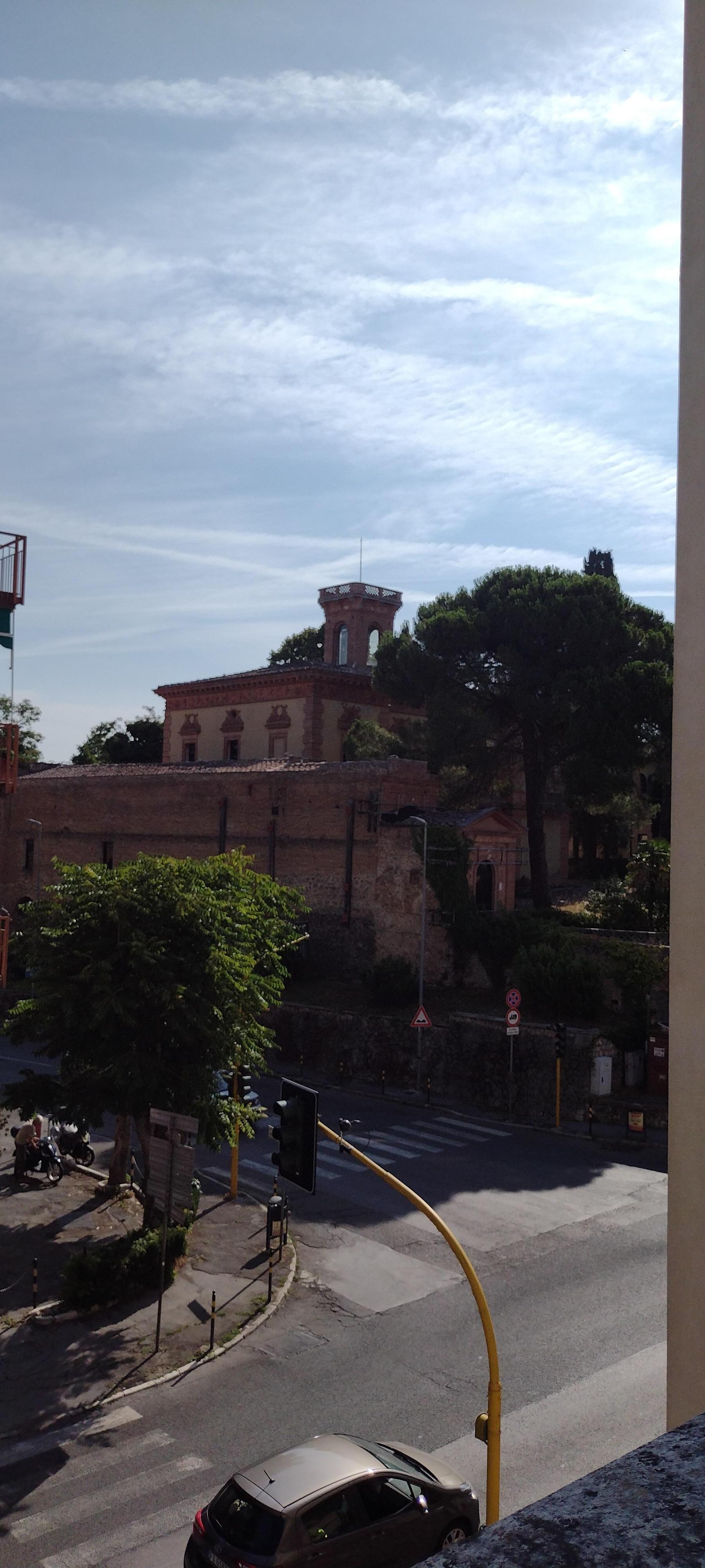 Vista dal terrazzo della camera Tulipano 
