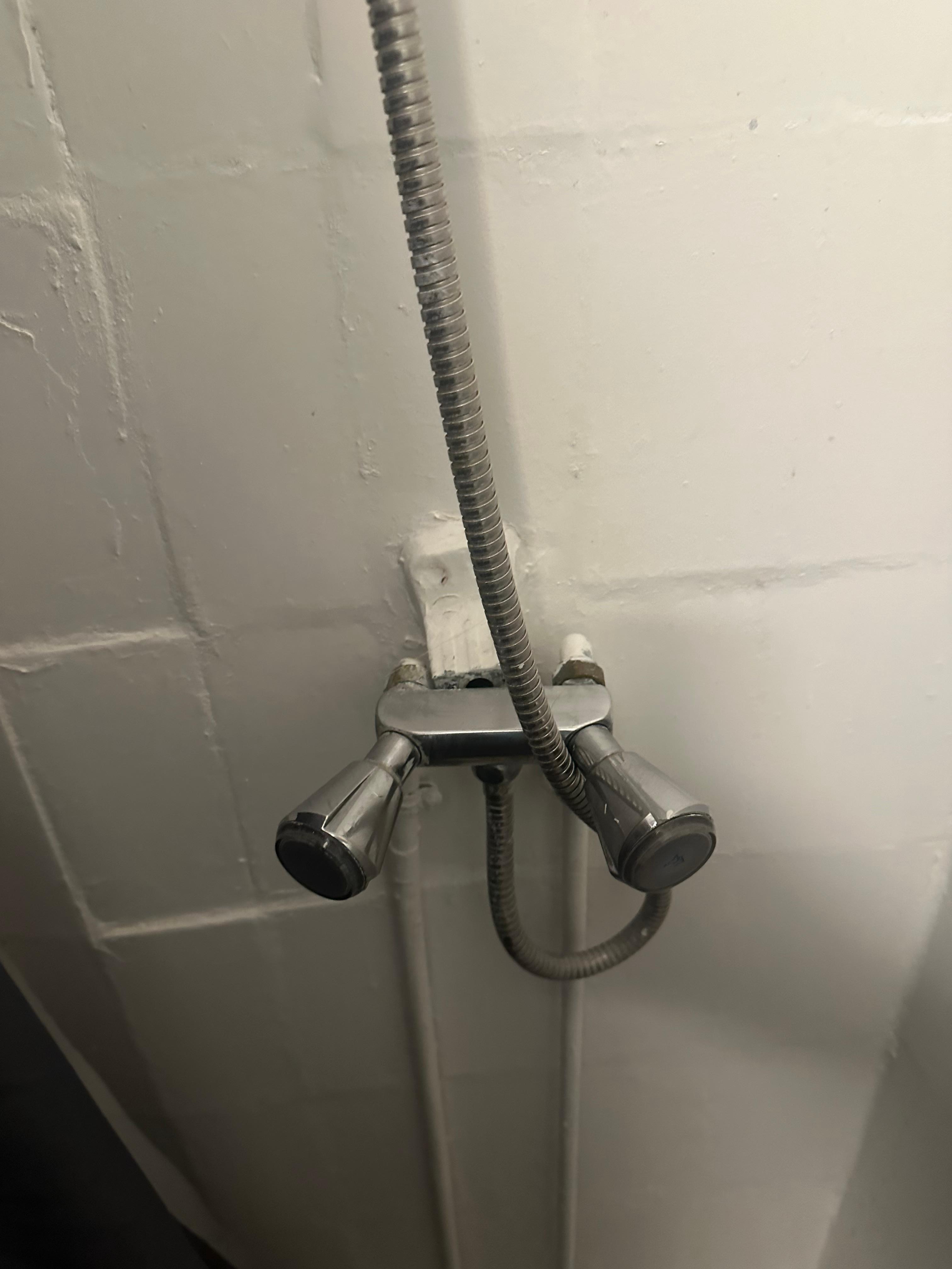 Mold and gross in bathroom
