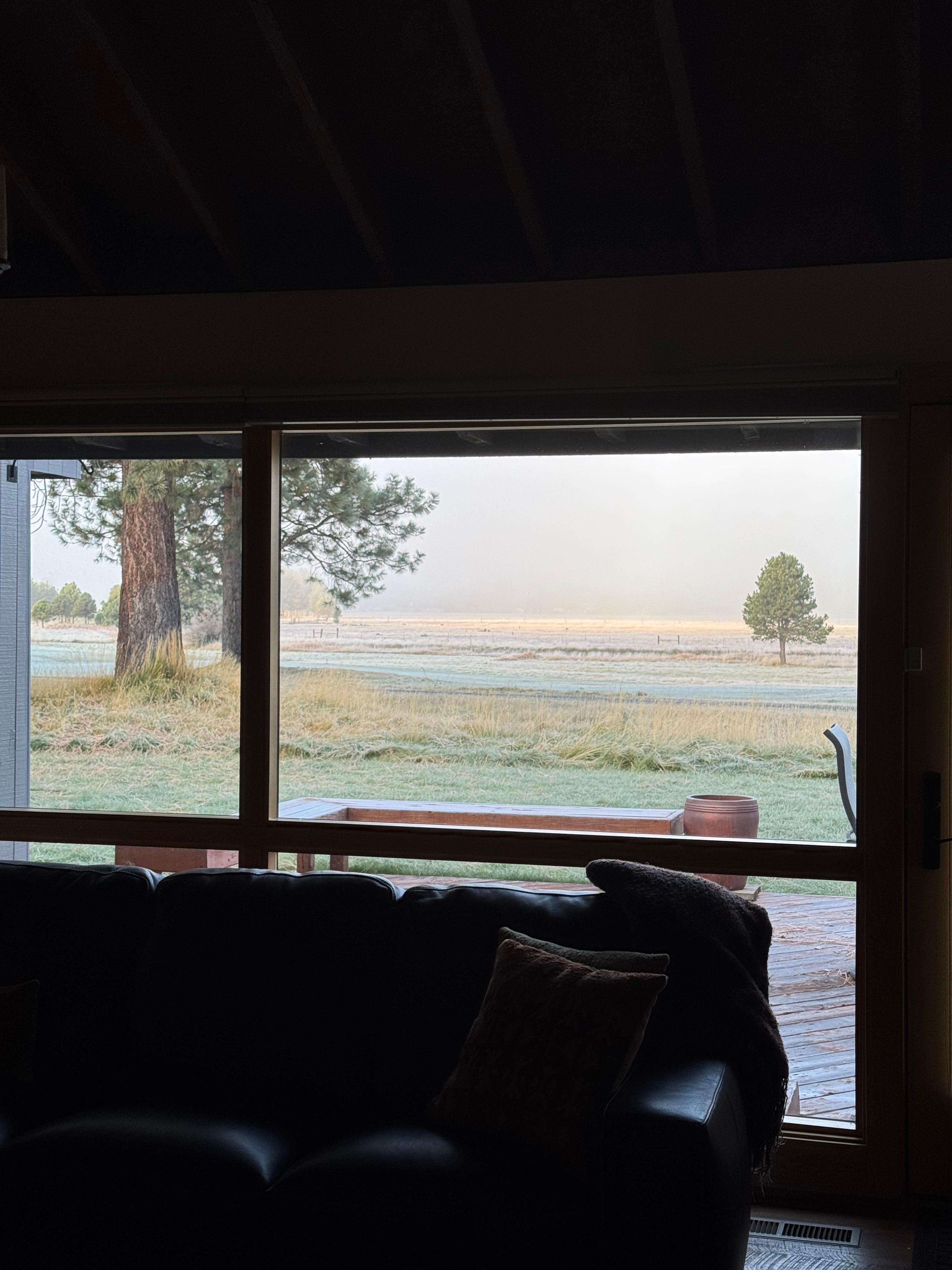 Early morning view from the living room 