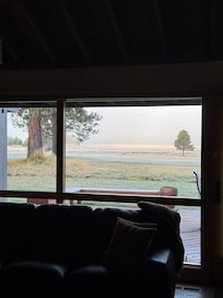 Early morning view from the living room