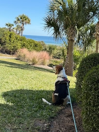 Gracie Mae’s favorite spot!