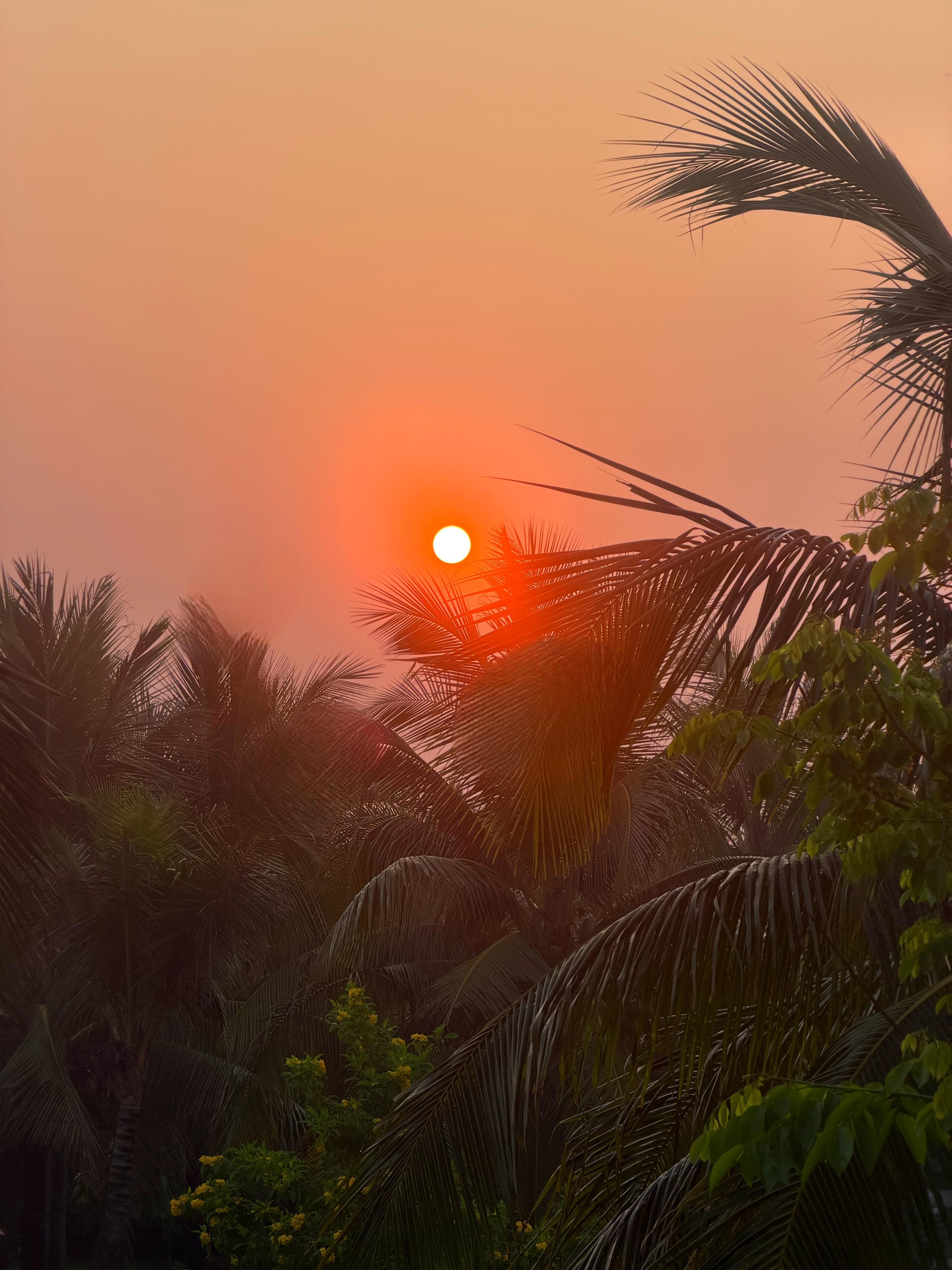 Sunrise from the room