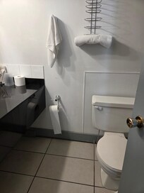 Lack of towels/toilet paper hard to reach/toilet extremely low/stuck door