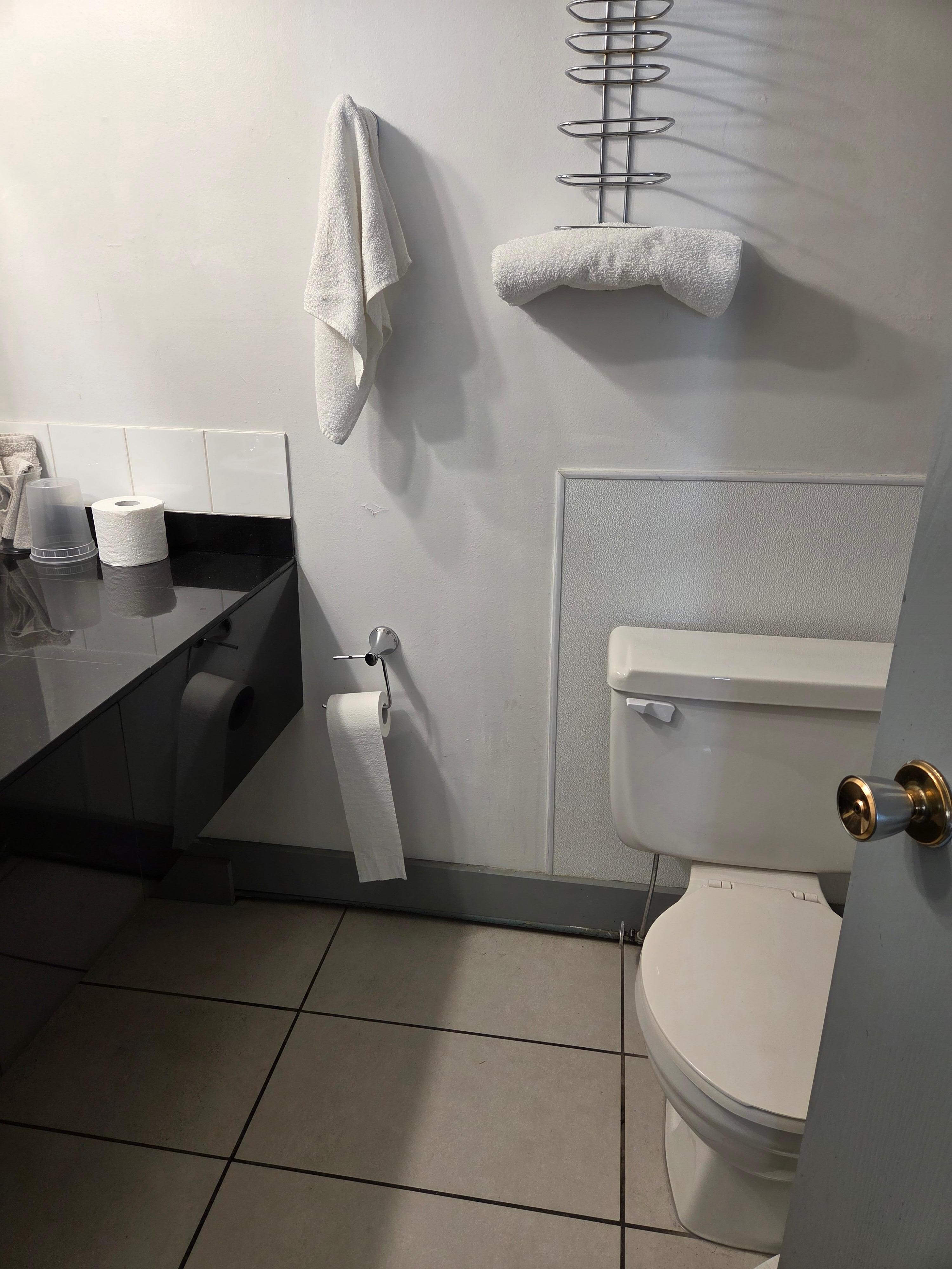 Lack of towels/toilet paper hard to reach/toilet extremely low/stuck door 