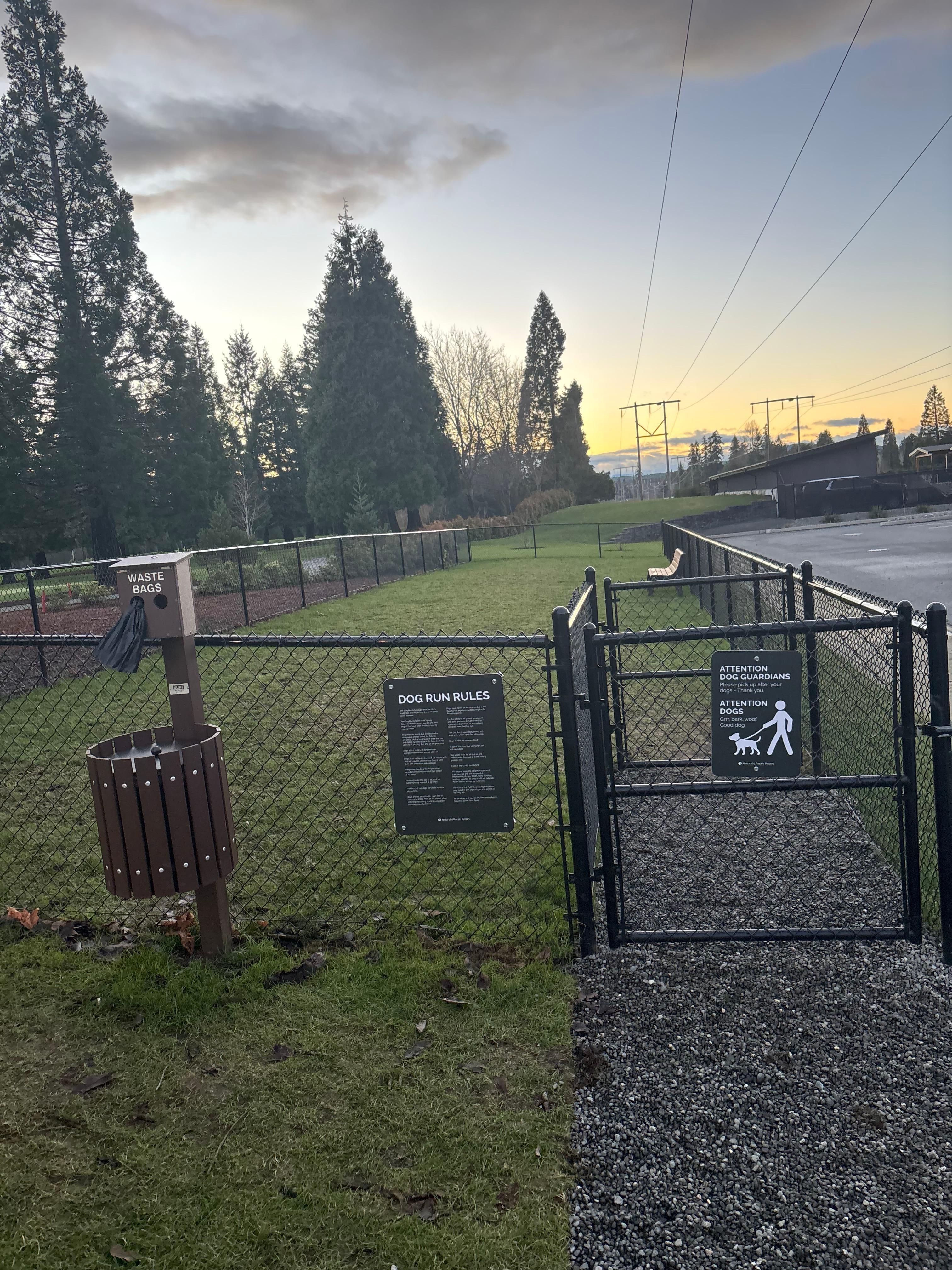 Fenced off leash dog area