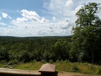 The view
