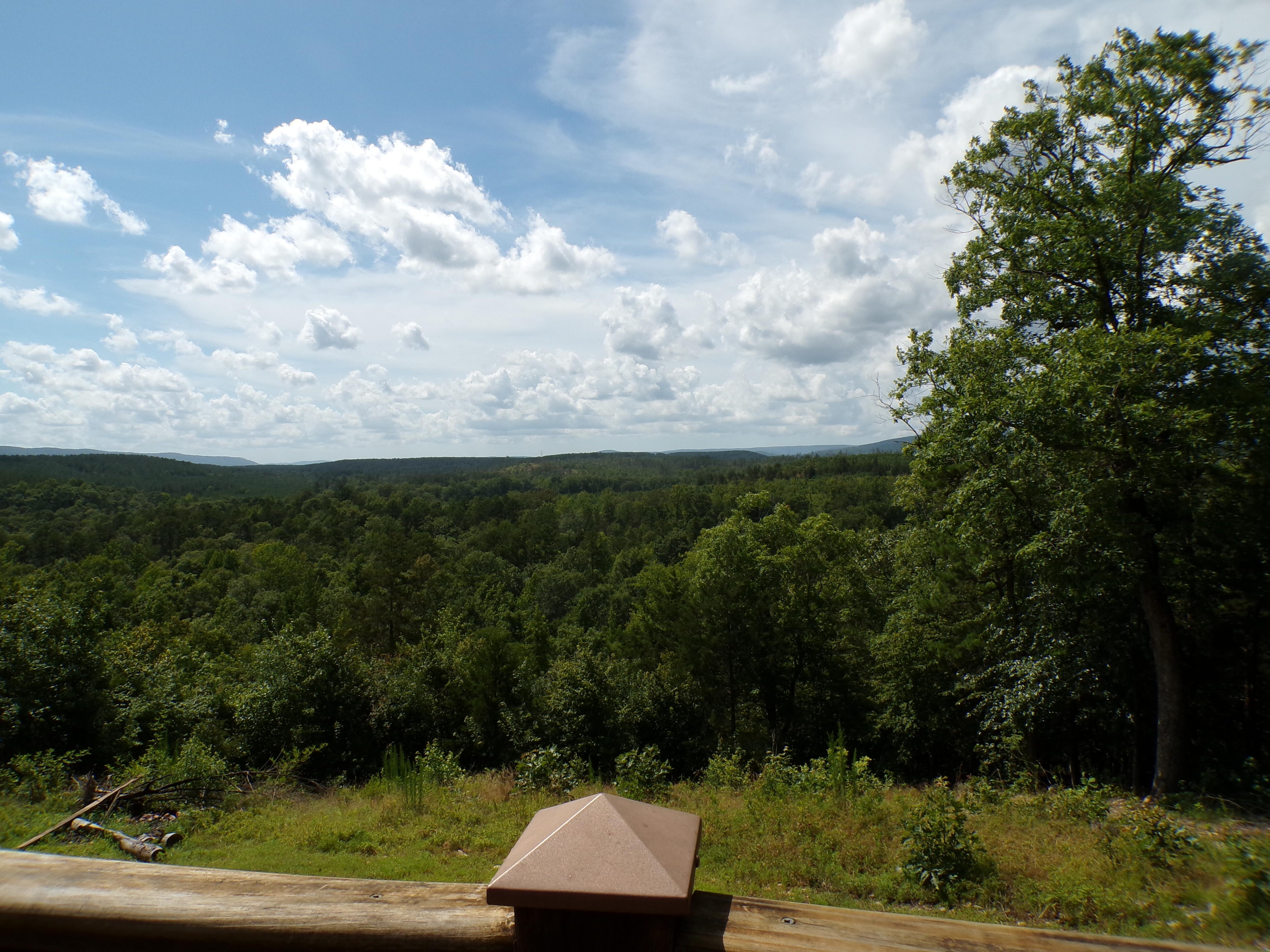 The view