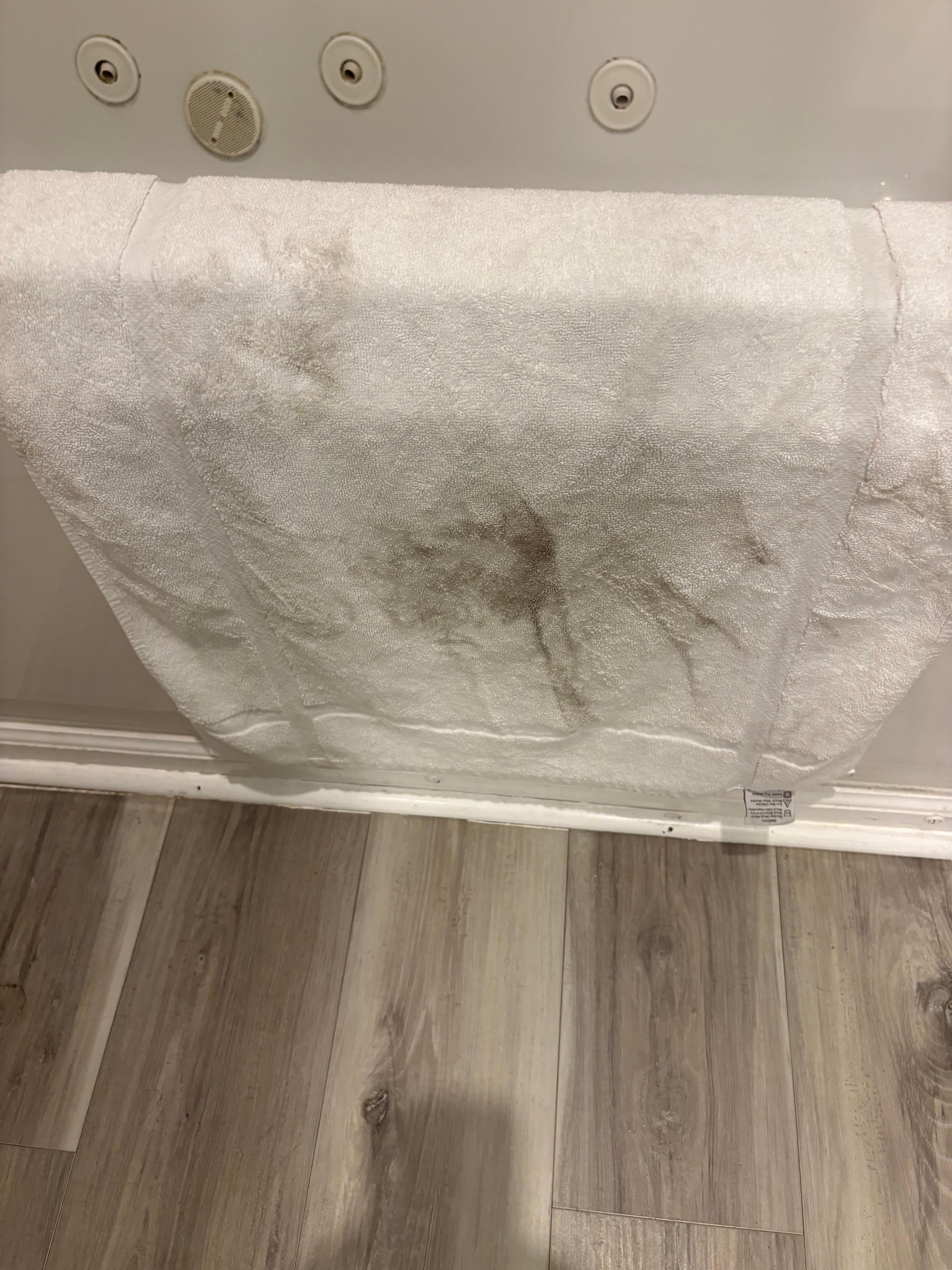Wiped up some water from the bathroom floor.  This is what the towel looked like. 