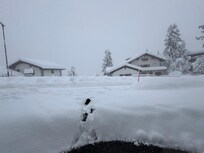 Heavy snow fall made all transportation out of service while we couldn’t get any support from hotel staff