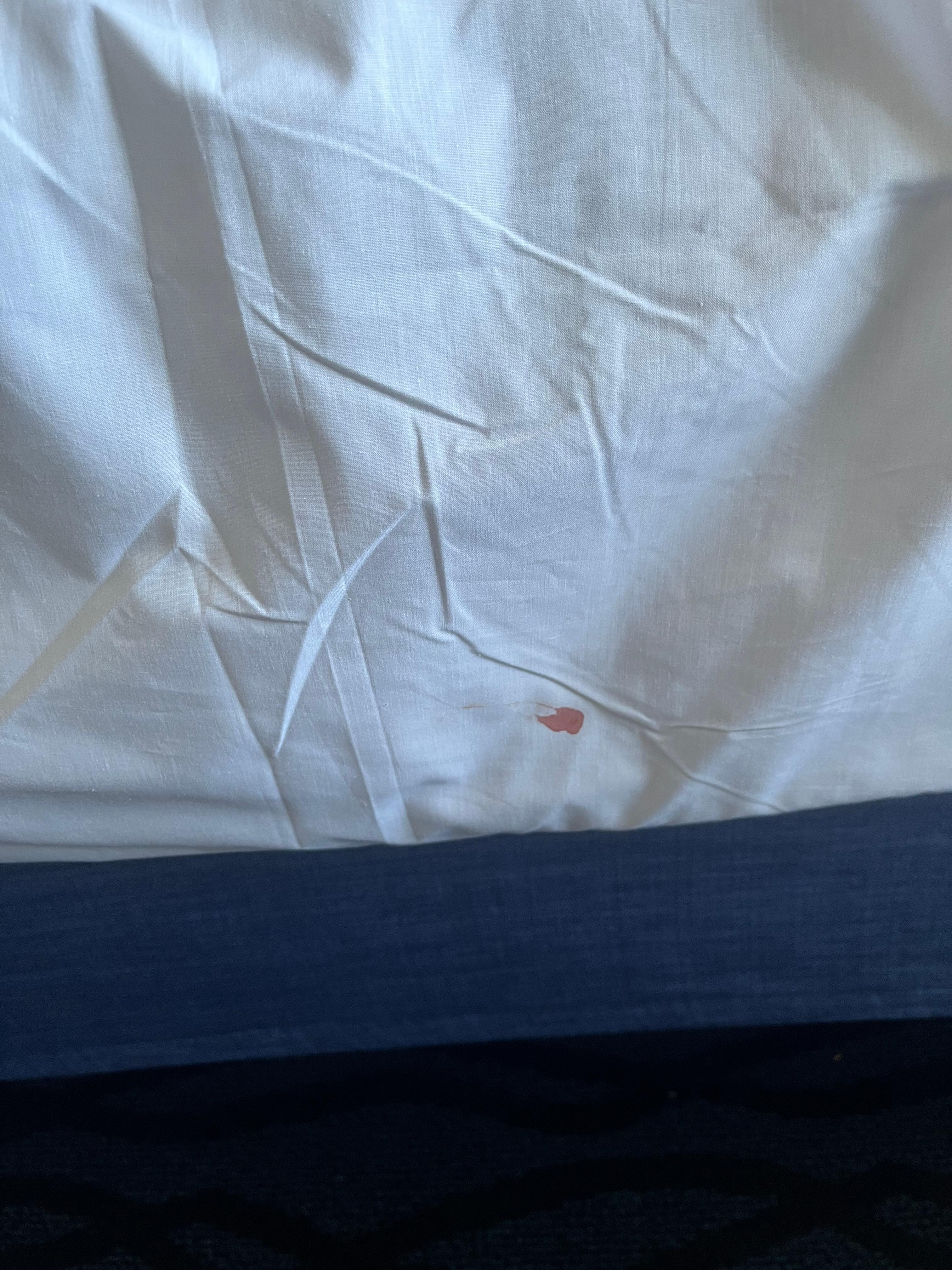 Blood on bottom of bed