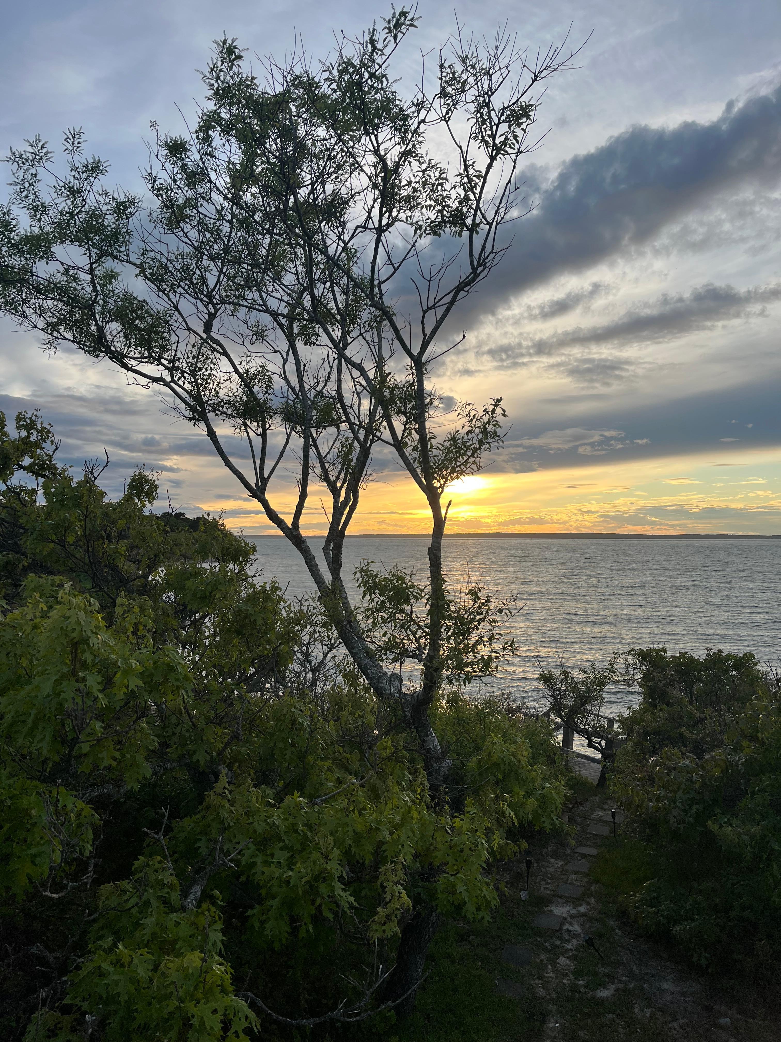 Sunset from the porch