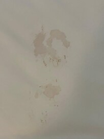 Soiled/stained bedding