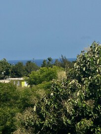 View from back balcony