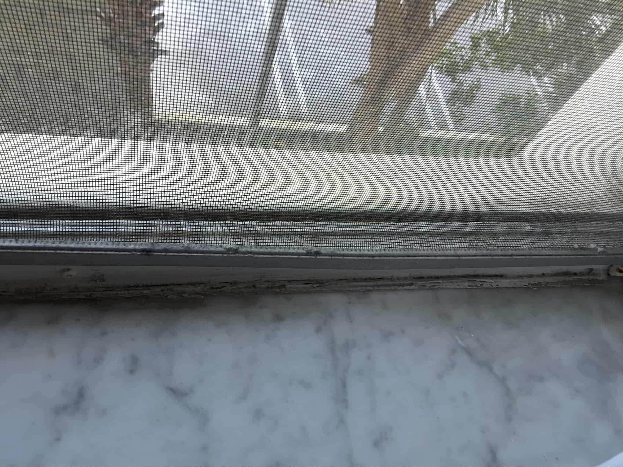Mold on all windows
