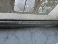 Mold on all windows