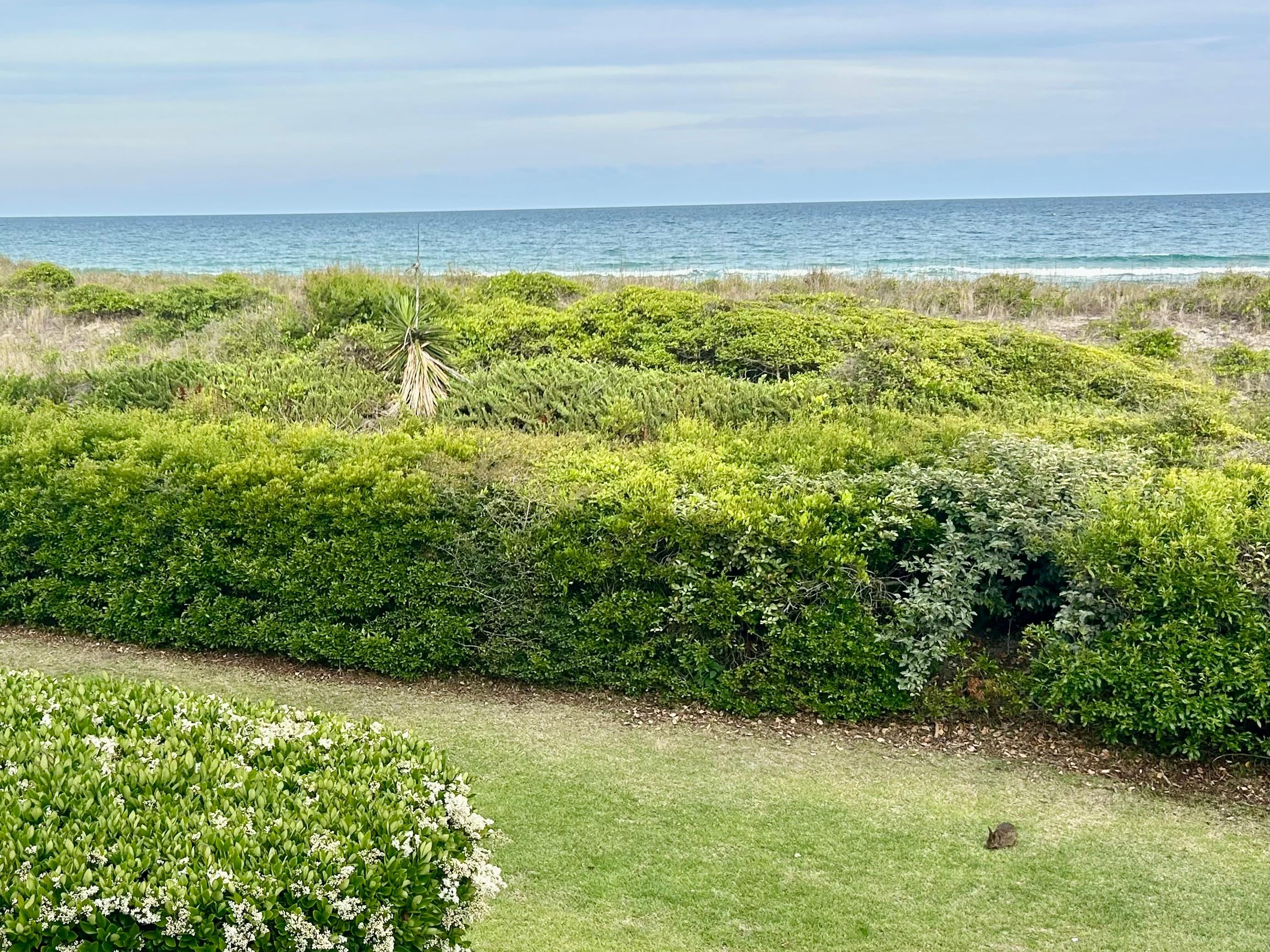 View from the deck
