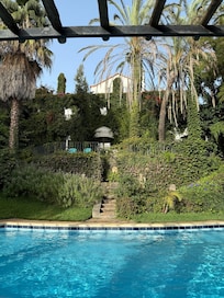 Wonderful oasis around pool