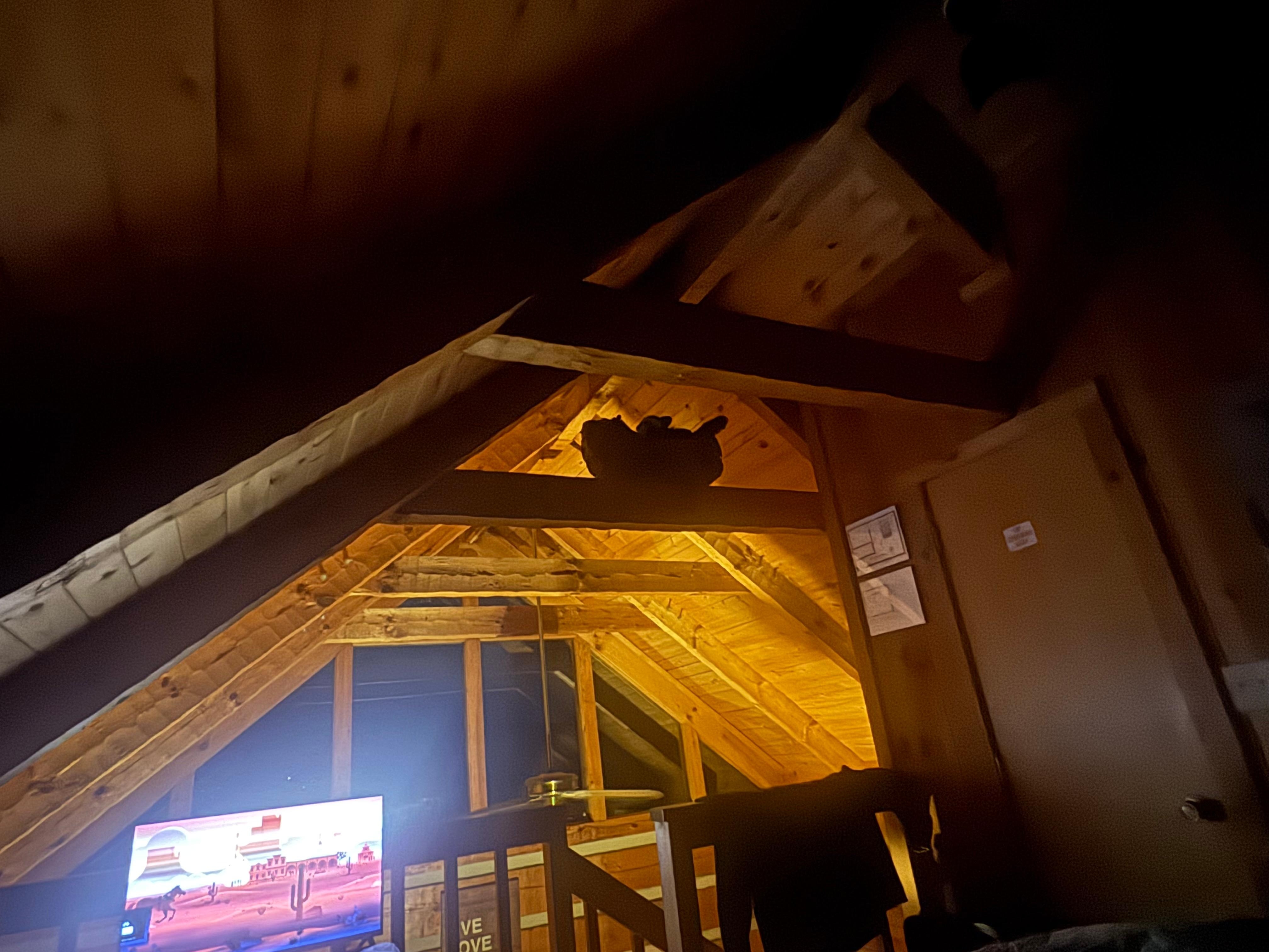 Above the bed I couldn’t help thinking this was a nanny cam. 