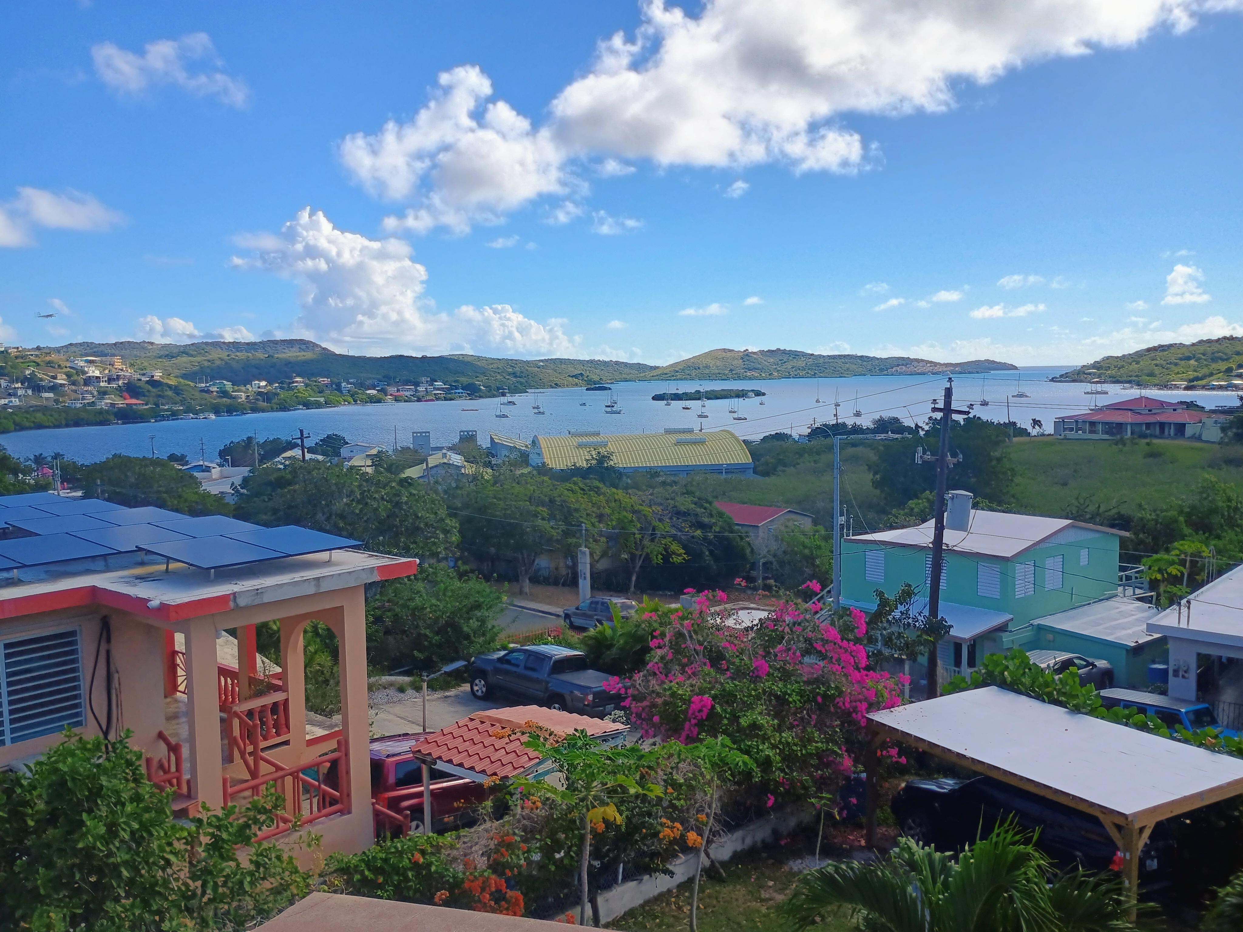 The view from the patio 