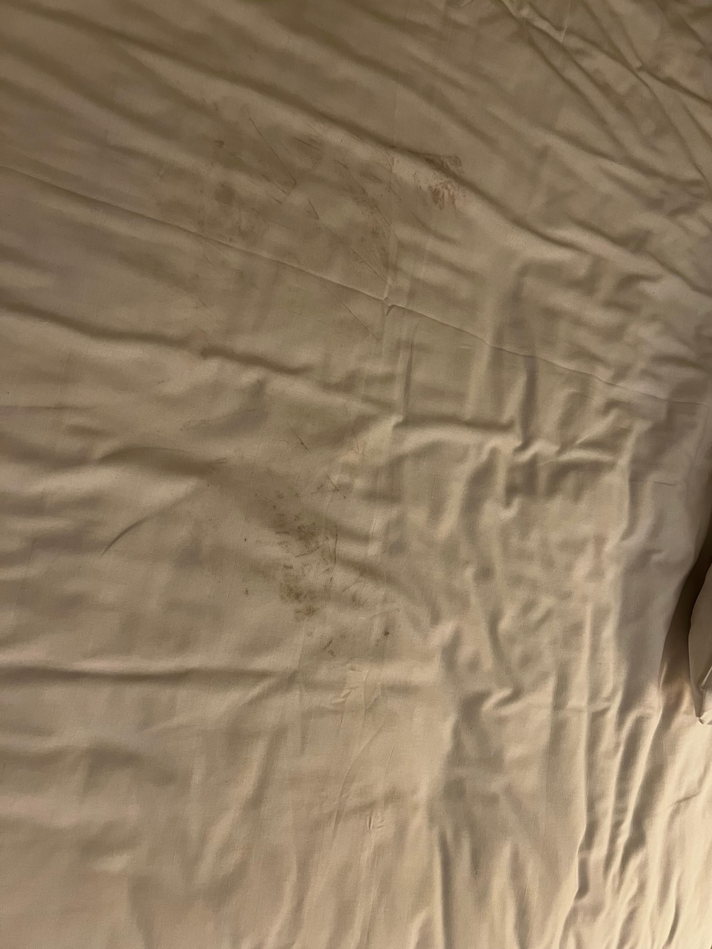 Had to get the bedsheet changed as the current one was covered in dirty footprints