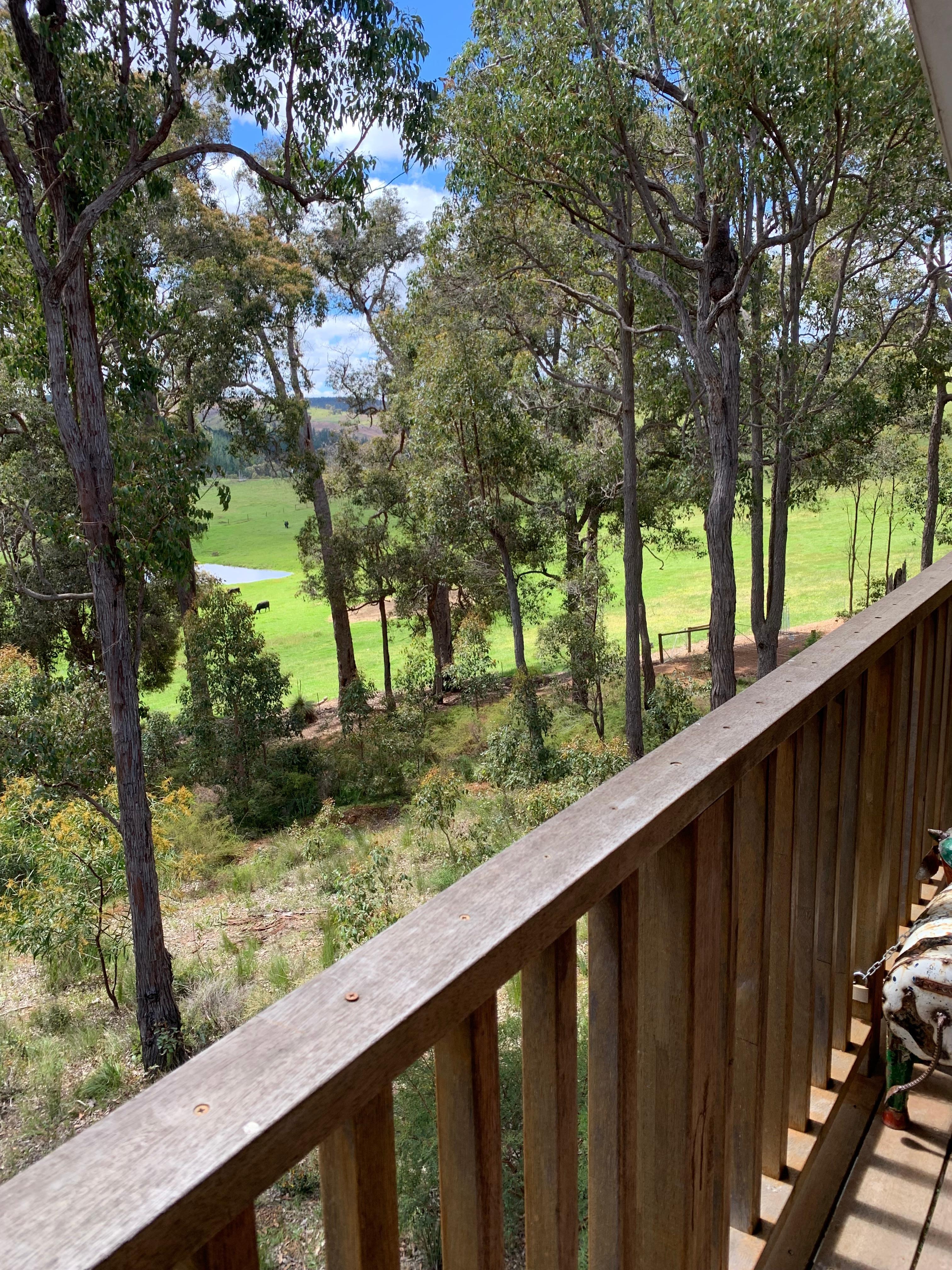 View from the balcony