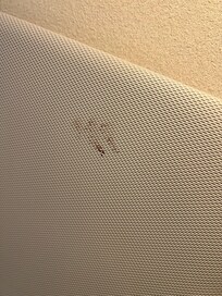 looked like dry blood