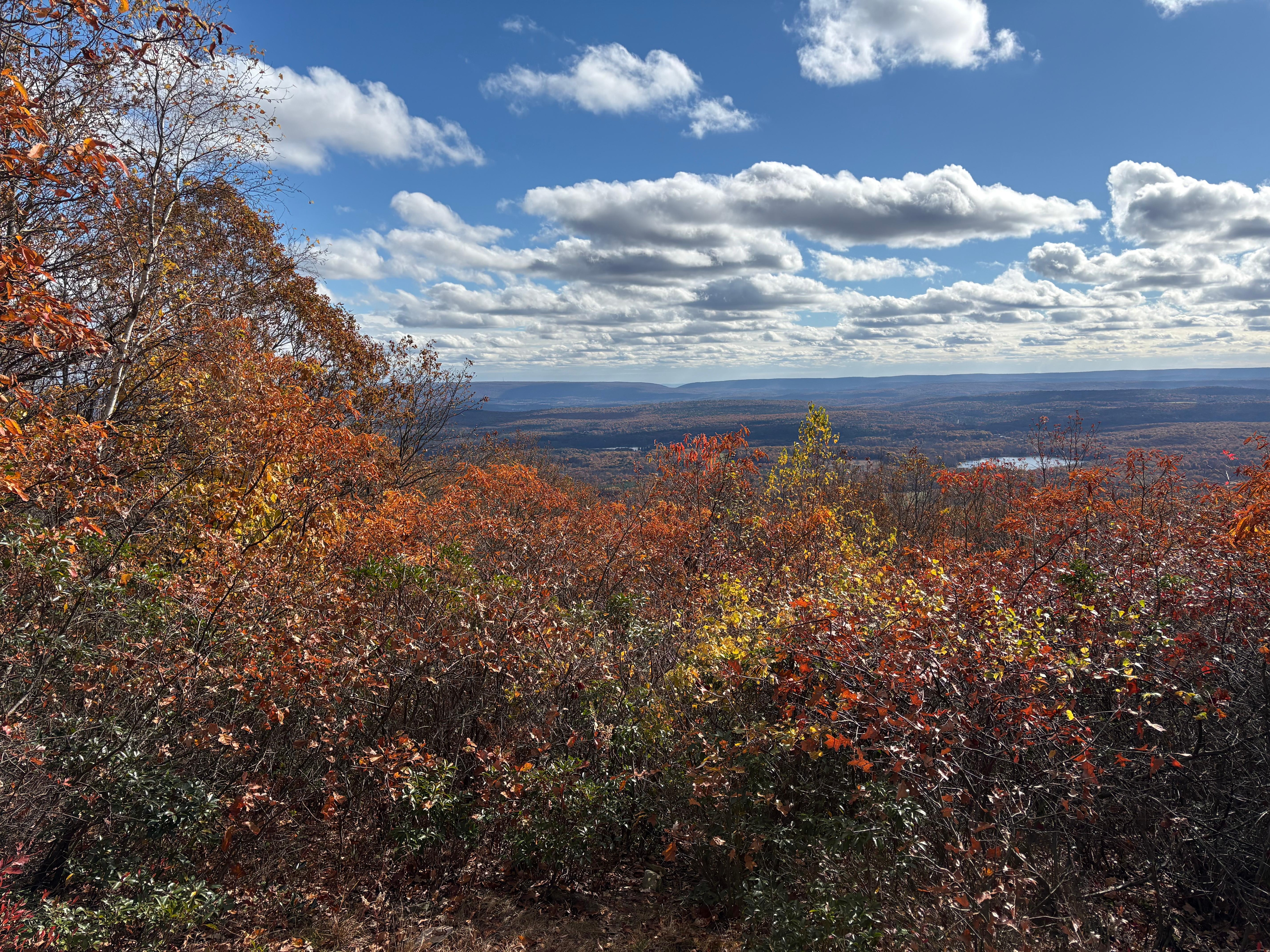 View at Big Pocono State Park