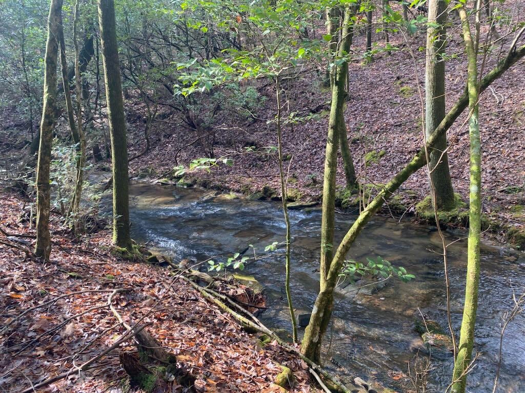 Loved the trails…saw deer on each of our hikes…