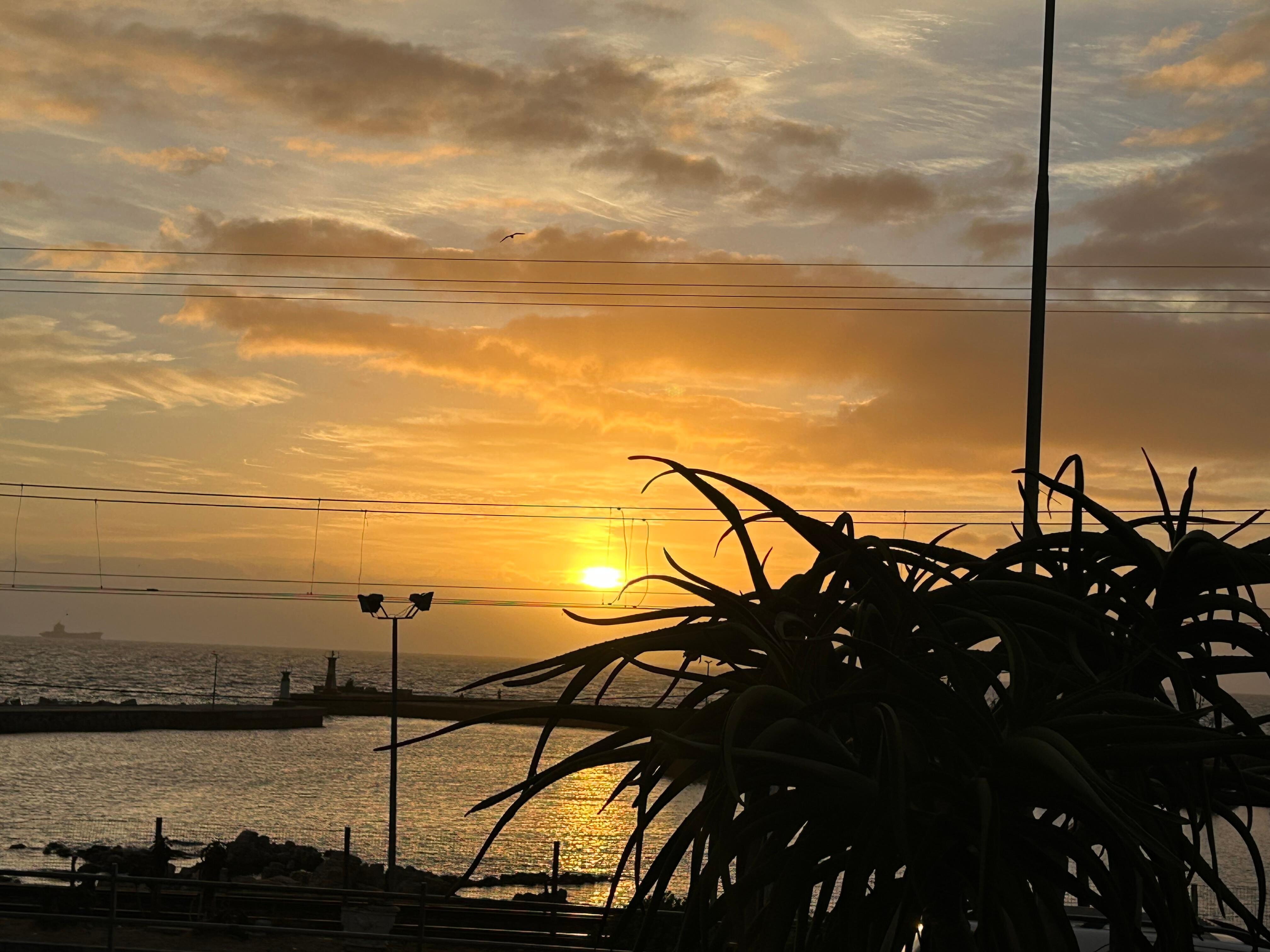View of the sunrise from the patio.