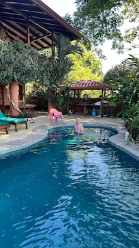 Naturally covered pool