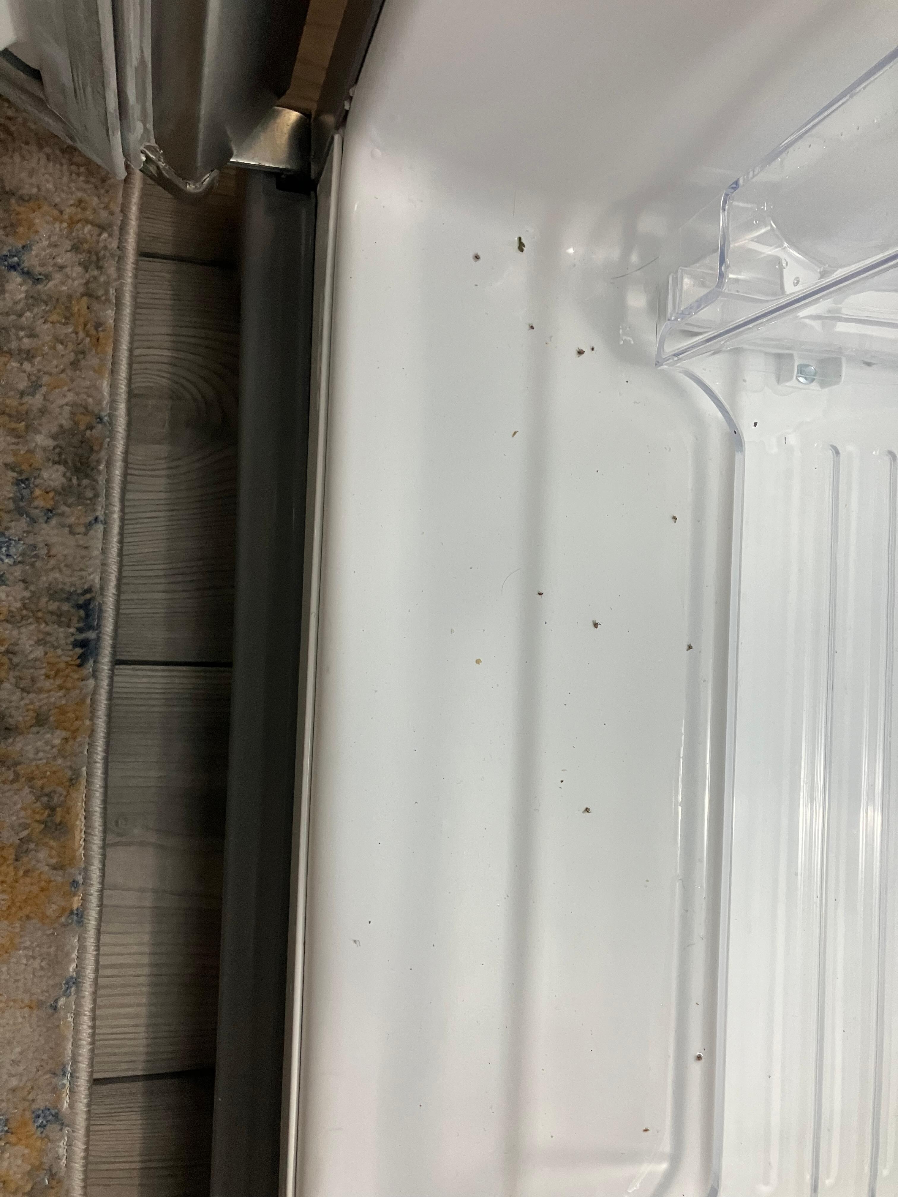 The refrigerator was disgusting.