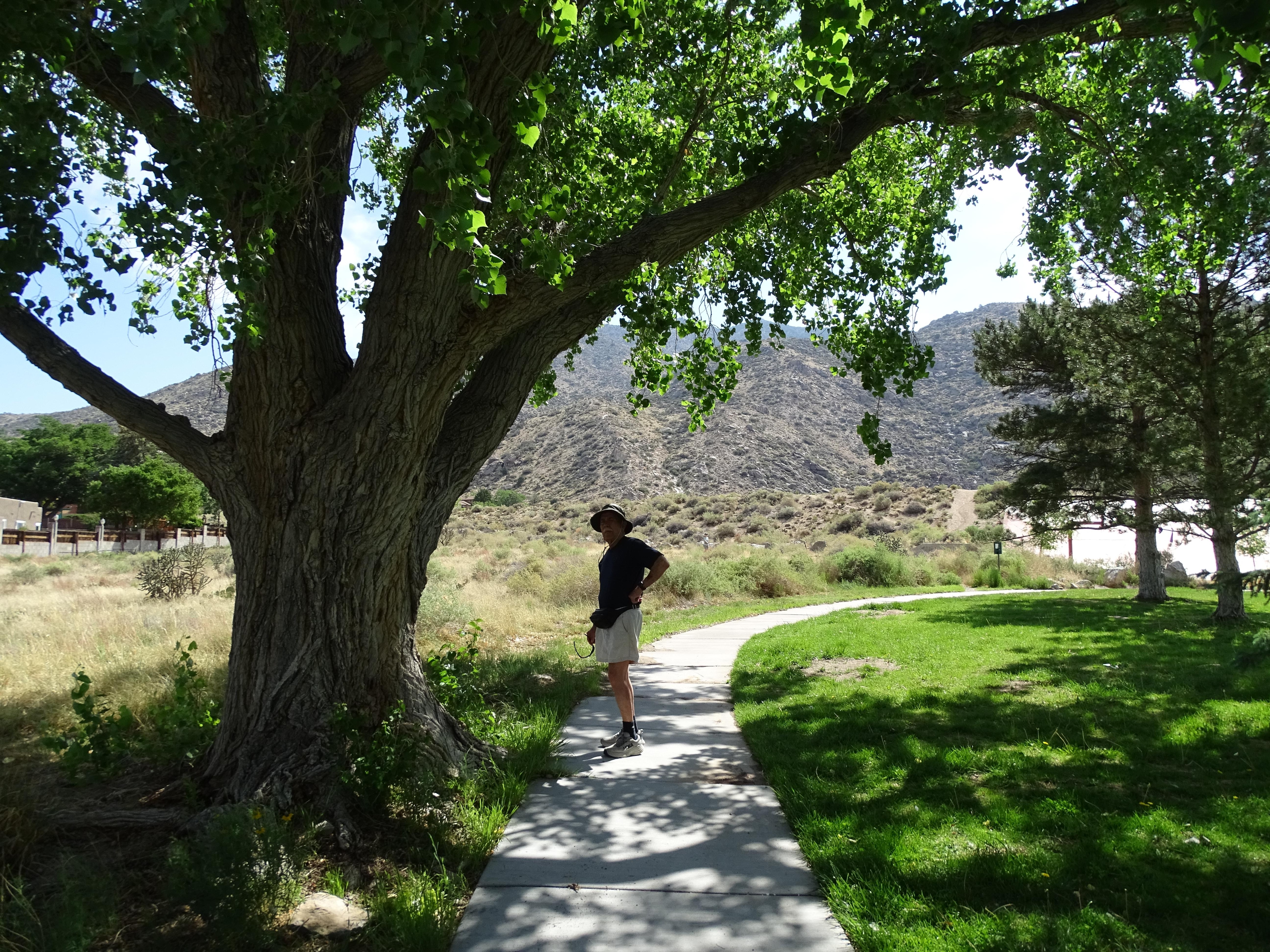 Neighborhood park,  a short walk away, was perfect for the 75 plus adults. While the young hiked to the Crest the elders enjoyed the peaceful park.  