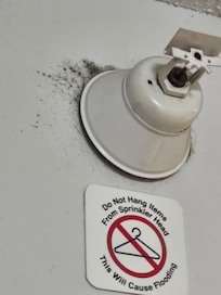 Blsck Mold
