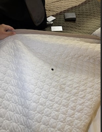 Cigarette whole in the blanket