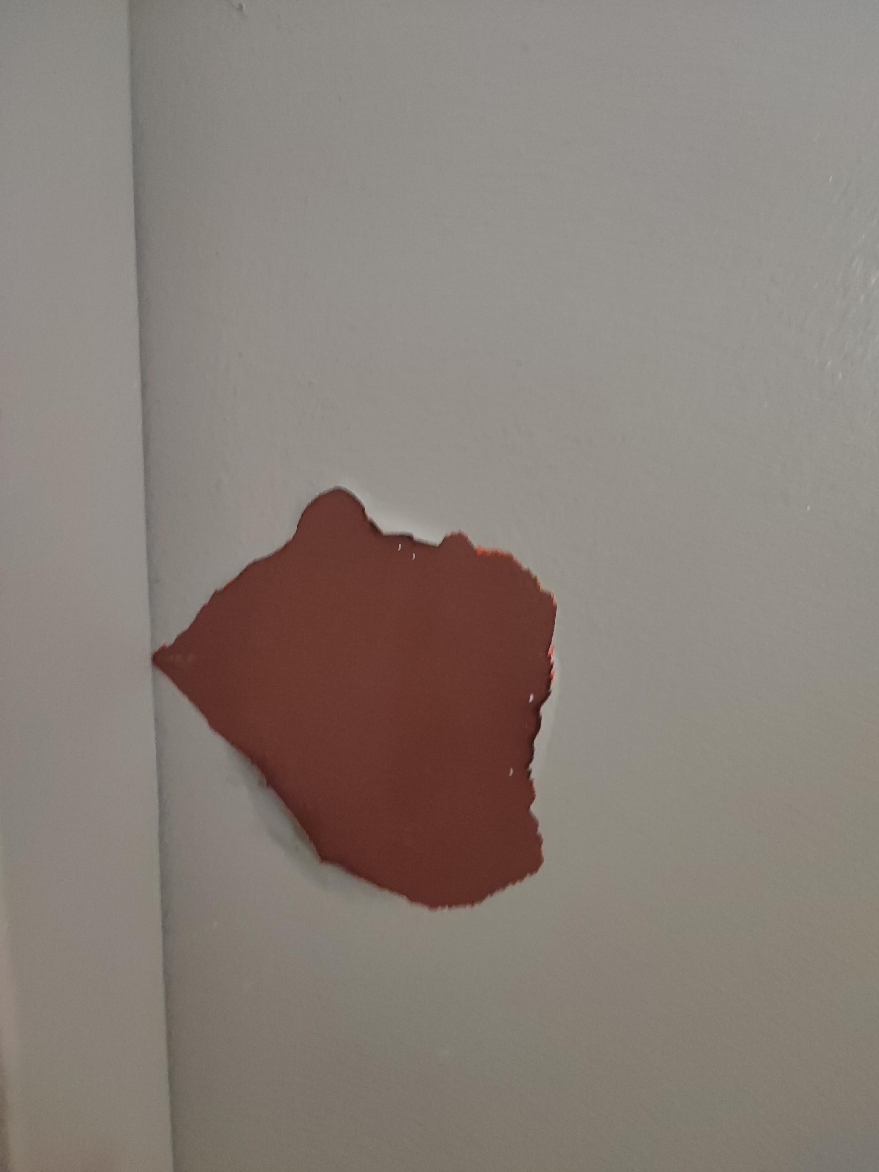 Porte d' entrée dans la chambre abîmée, fils électriques dans l'ascenseur non protégés...
