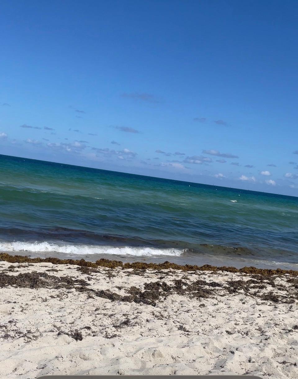 Relaxing at the 🏖️ 