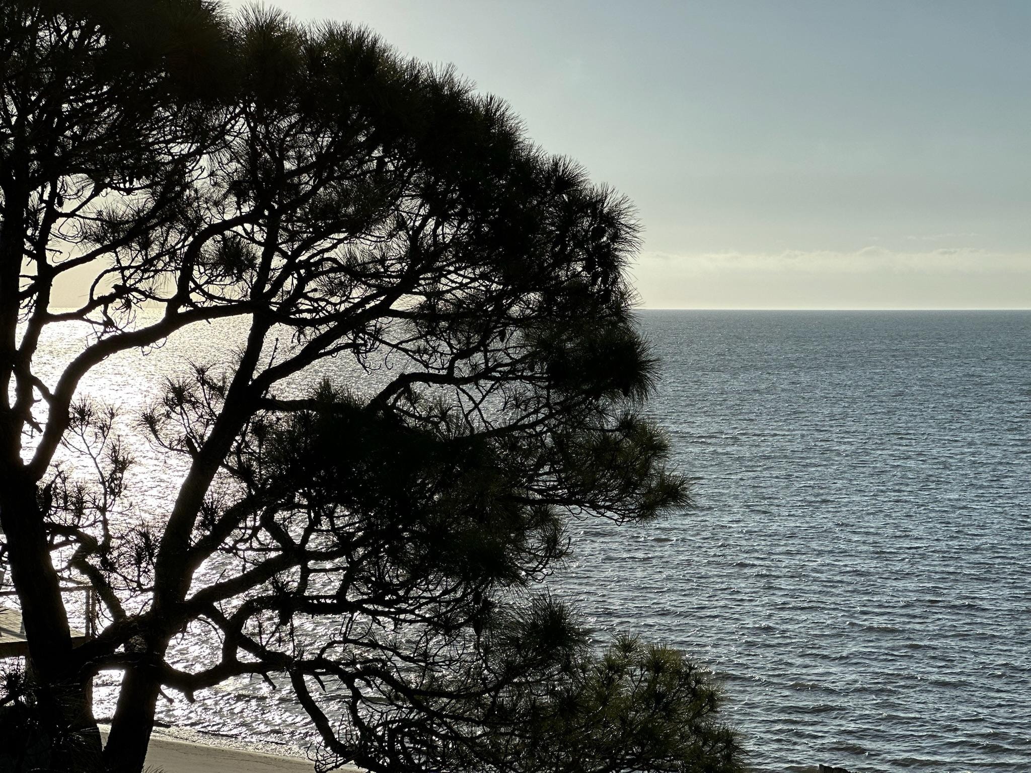 Loved this view for photos!