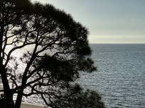 Loved this view for photos!