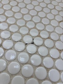 Mold on floor.