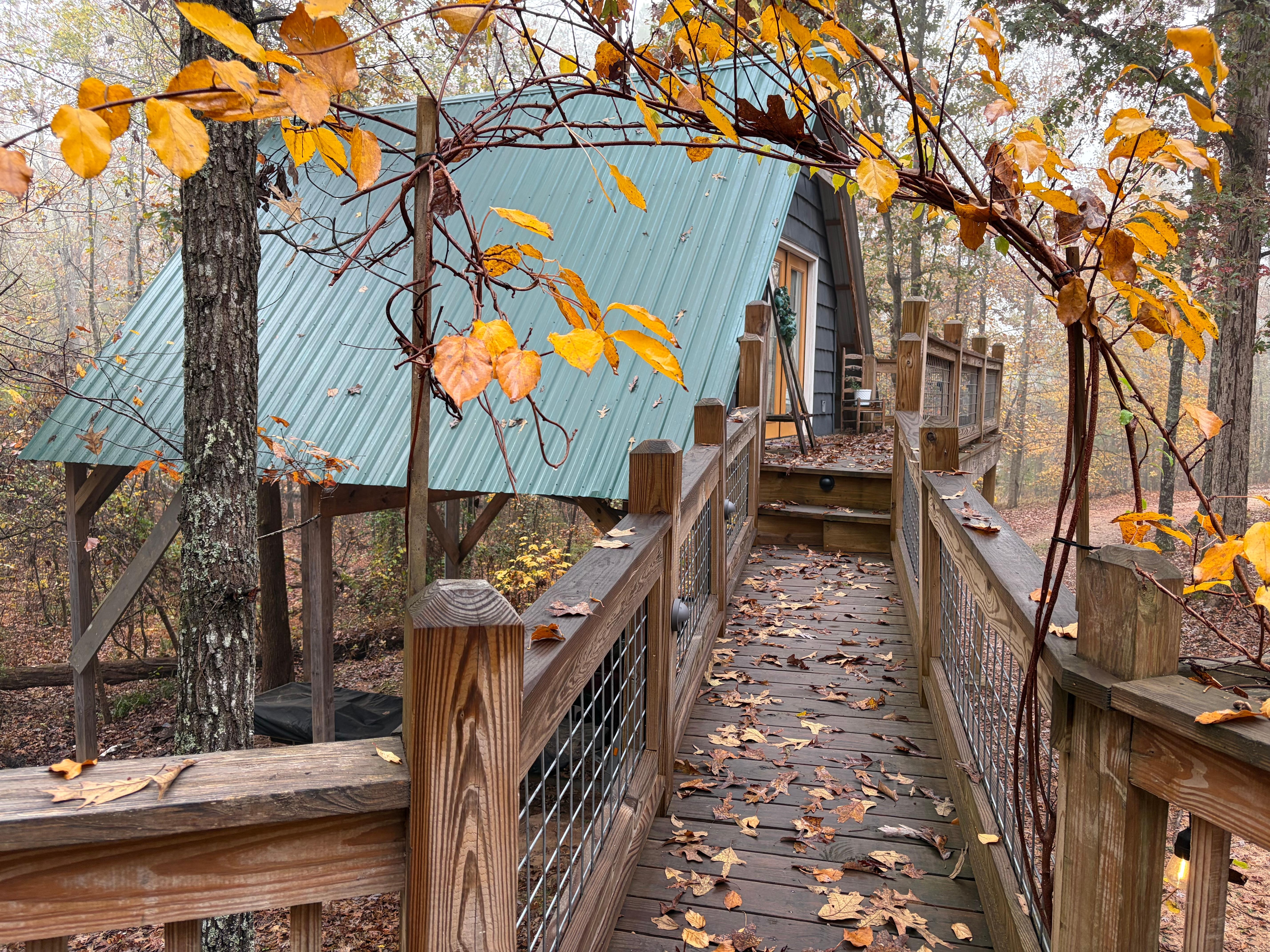 View of treehouse from main house.