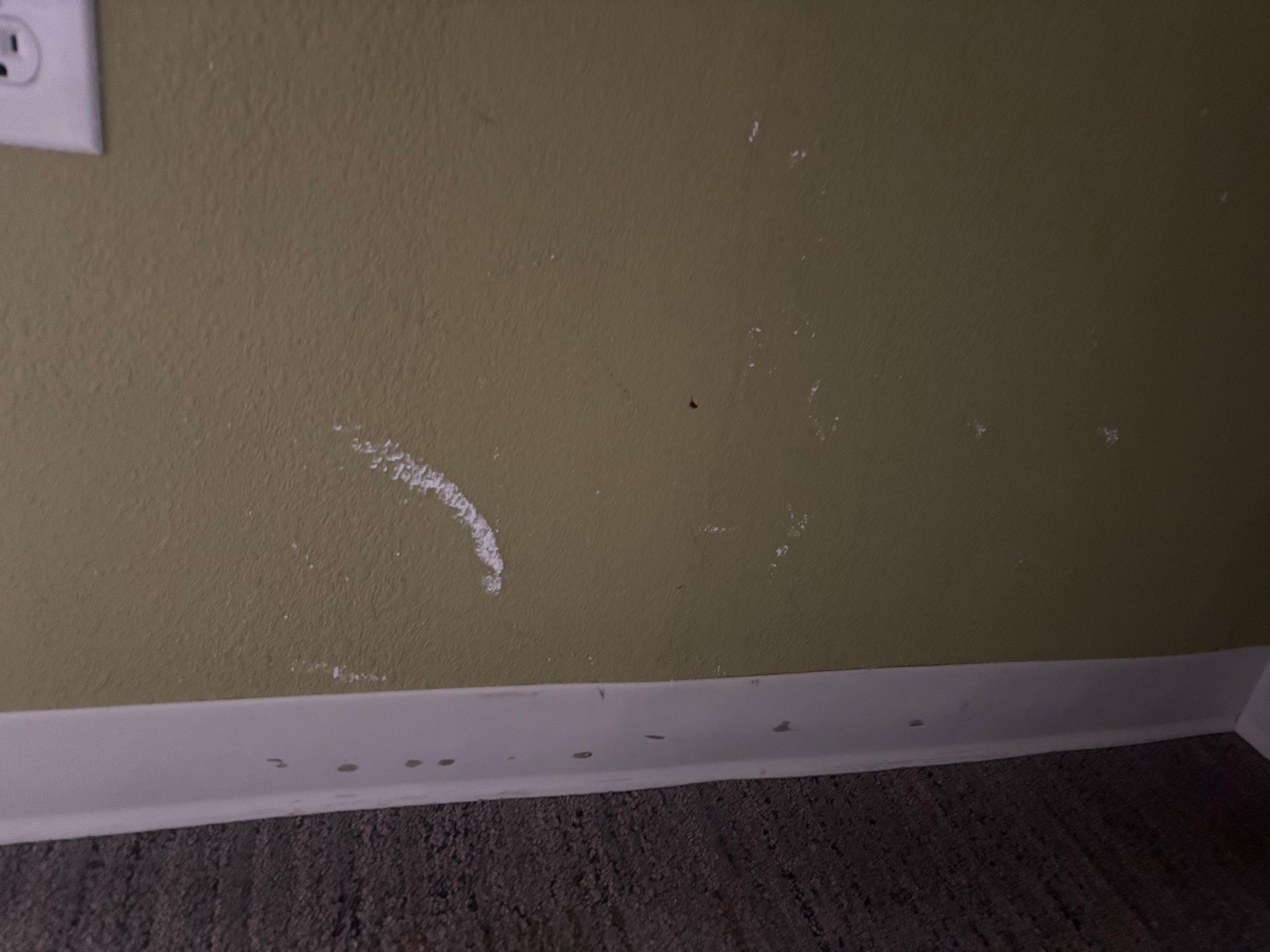 Walls were peeling or marked up throughout 