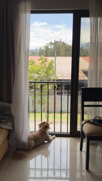 Vista al VolcĂĄn IrazĂș desde la habitaciĂłn con cama King.