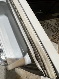 Black mold