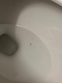 Opened the lid of the toilet upon entering the room, and there was ash in the toilet?