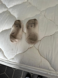 Socks from walking on filthy carpet